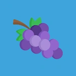 Grape Speed VPN App