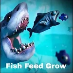 Fish Feed Grow Guide