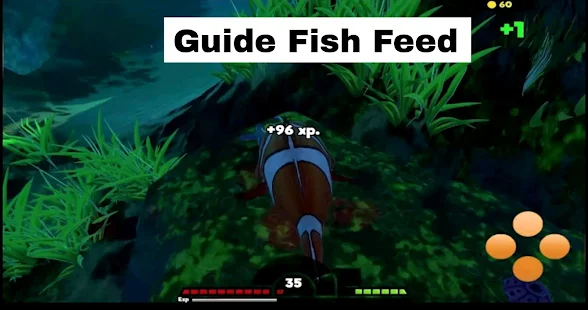 Download and play Fish Feed And Grow Fish Advice on PC with MuMu Player