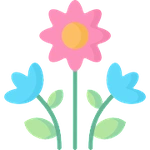 Here Your Little Apple