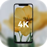 Colorful 4K Wallpapers