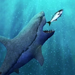 Shark World Jaw Evolution Game