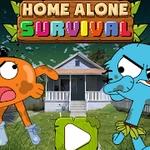 Home Alone Survival