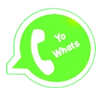 YO Whats plus V14 2021