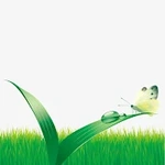 Grass Speed - Fast VPN Tool