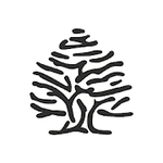 Springfield: Moda hombre/mujer