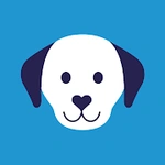 feed a dog: animal welfare