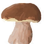 Mushroomizer