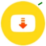 Video Downloader App