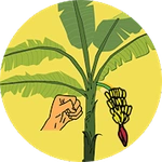 Salam Dari Binjai The Game