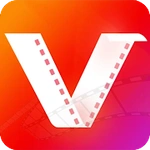 Fast video downloader – download video and photo