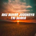 Aku Bukan Jodohnya - TriSuaka