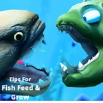 Tips For Fish Feed & Grow