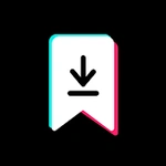 Tik Tok 影片下載工具