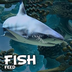 Guide: Feed Fish & Grow