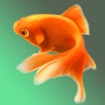 FishStore