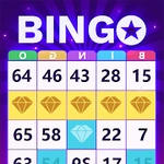 Bingo-Clash win real cash tips