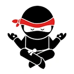 GB Ninja Unseen for WhatsApp