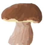 Mushromizer