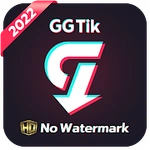GGTik: TikTok Video Downloader