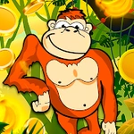 Lucky Monkey