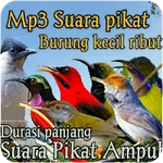 Suara Pikat Burung Ribut Mp3