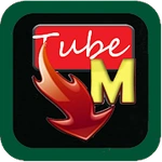 Tube Mp4 Video Mp3 Downloader