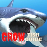 Feeding and Grow: Fish Feed Guide