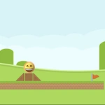 Ball Run Chamption