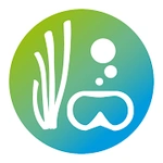游戏图标