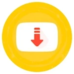Tube Video Downloader 2021