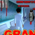 Sakura 3 Granny Simulator Aide