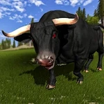 Baixar e jogar nervosa touro jogo de boi 3D no PC com MuMu Player