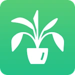 Plant Identification