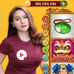 Higgs Domino Guide JinJinBao