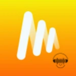 musi-simple music stream tipes