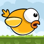 Zigzag Bird