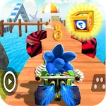 Subway Kart Hedgehod adventure