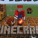 MCPE Mod Mario Minecraft