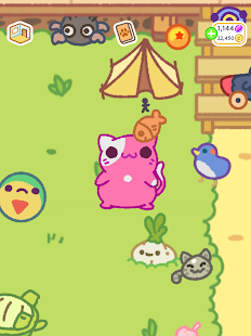 Baixe My Cat - Jogo de Gato  Meu Gatinho Tamagotchi no PC com MEmu