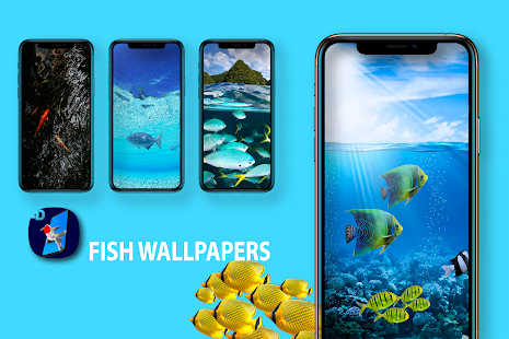 Download and play Fish Wallpapers, Live 3D Aquarium, Koi HD 4K MP4 on PC  with MuMu Player
