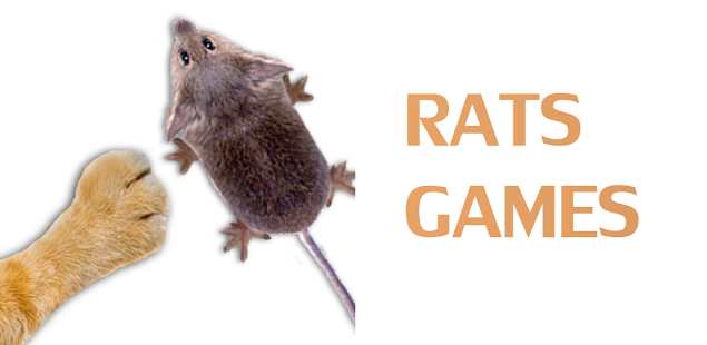 Download and play Games for cat - catch the rat on PC & Mac with MuMu ...