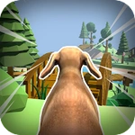 Pet Saga 3D