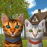 Симулятор Кота и Кошки : животное питомец котёнок