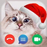 Cat Fake Video Calls and Chat