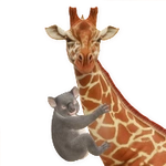 Règne Animal