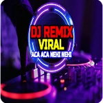 DJ Aca Aca Nehi Nehi Viral