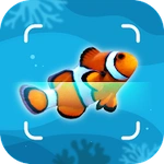 Fish Identification - Fish Id