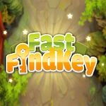 Fast Key Finder