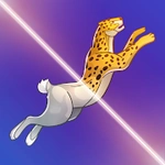 Animals Run